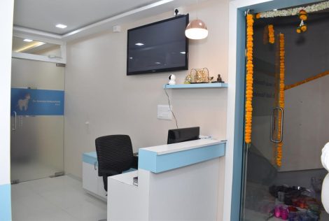 Gallery-image-1